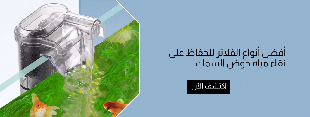 أفضل أنواع الفلاتر للحفاظ على نقاء مياه حوض السمك أفضل أنواع الفلاتر للحفاظ على نقاء مياه حوض السمك