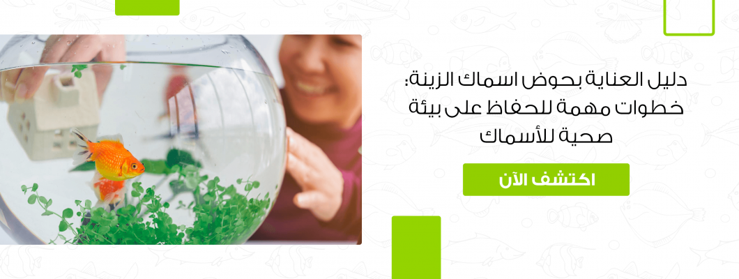 دليل العناية بحوض اسماك الزينة: خطوات مهمة 