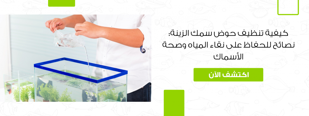 كيفية تنظيف حوض سمك الزينة: نصائح للحفاظ على الأسماك