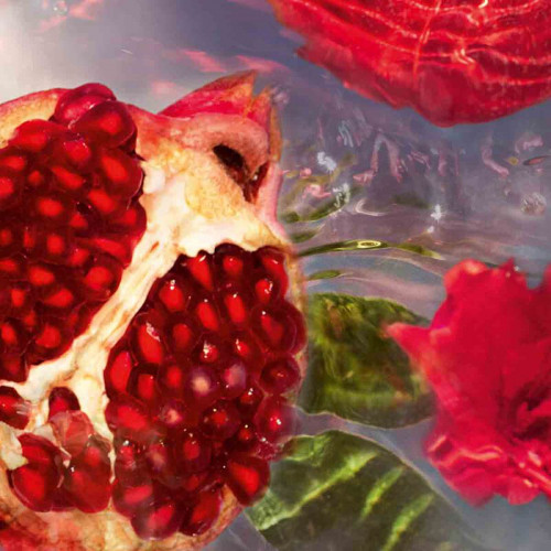 جيرلان عطر غرانادا سالفيا أو دو تواليت 75 مل جيرلان عطر غرانادا سالفيا أو دو تواليت 75 مل