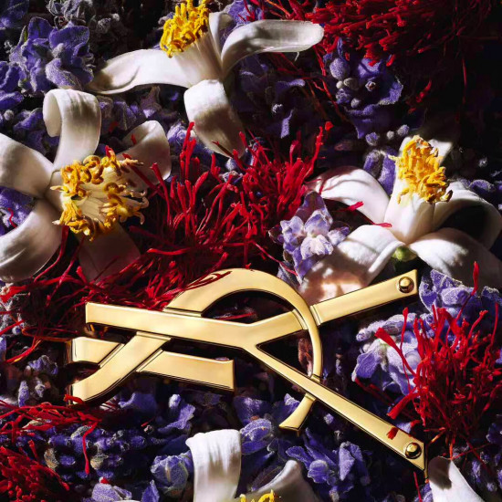 اف سان لوران ليبر لو بارفيوم 50 مل اف سان لوران ليبر لو بارفيوم 50 مل