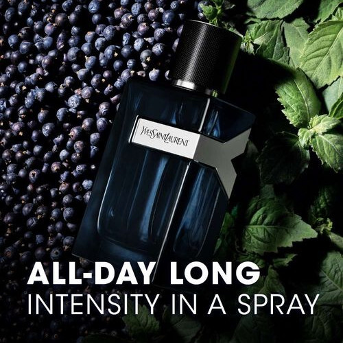 اف سان لوران واي انتنس او دو برفيوم 100 مل