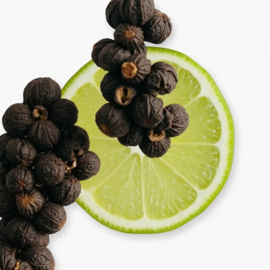 بارفيوم دو مارلي كاستلي أو دو برفيوم 125 مل بارفيوم دو مارلي كاستلي أو دو برفيوم 125 مل