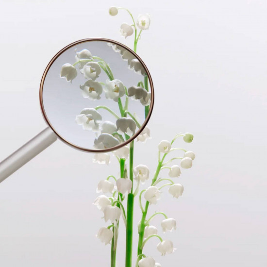 ميو ميو فلير دأرجينت أبسليوت 100 مل ميو ميو فلير دأرجينت أبسليوت 100 مل