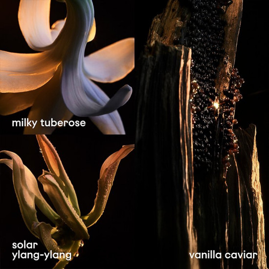 باكو رابان ليدي مليون فابيولوس او دو برفيوم 80 مل باكو رابان ليدي مليون فابيولوس او دو برفيوم 80 مل