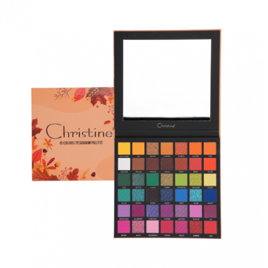 طقم باليت ظل العيون 42 لون B من كرستين CH-E2212