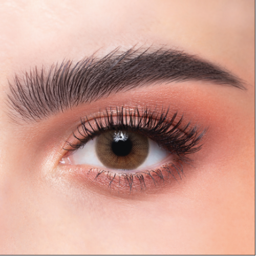 عدسات الذهب السنويه رقم 21 _ كراميل  عدسات الذهب السنويه رقم 21 _ كراميل