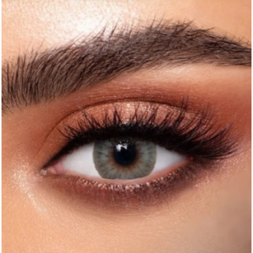 عدسات الذهب اليوميه رقم 5 _ صابرين جراي جرين  عدسات الذهب اليوميه رقم 5 _ صابرين جراي جرين