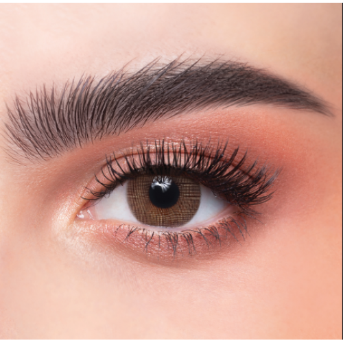 عدسات الذهب اليوميه _رقم 14 كت اي  عدسات الذهب اليوميه _رقم 14 كت اي