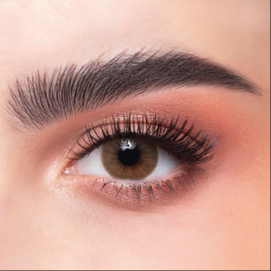 عدسات الذهب اليوميه رقم 21 | كراميل  عدسات الذهب اليوميه رقم 21 | كراميل