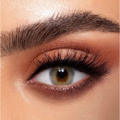 عدسات الذهب اليوميه | رقم 42 سموكي  عدسات الذهب اليوميه | رقم 42 سموكي