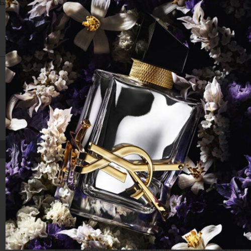 عطر اف سان لوران ليبر لابسولو بلاتين بارفيوم 90 ملي  عطر اف سان لوران ليبر لابسولو بلاتين بارفيوم 90 ملي