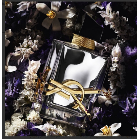 عطر اف سان لوران ليبر لابسولو بلاتين بارفيوم 90 ملي  عطر اف سان لوران ليبر لابسولو بلاتين بارفيوم 90 ملي