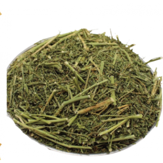 شذاب البطله 