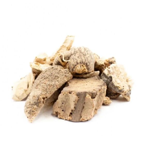 عود القسط البحري 