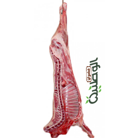 نصف ذبيحة هرفي الوطنية طازجة من 10-11 كجم  نصف ذبيحة هرفي الوطنية طازجة من 10-11 كجم