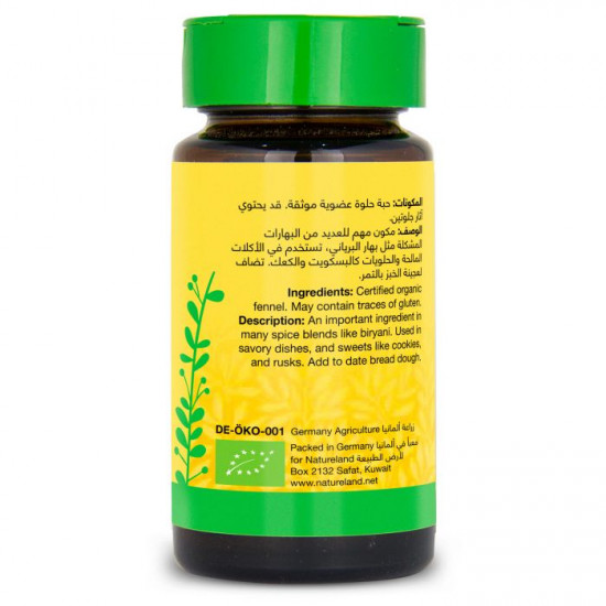 الحبة الحلوة -شمر بذور كاملة 25جم ارض الطبيعة الحبة الحلوة -شمر بذور كاملة 25جم ارض الطبيعة