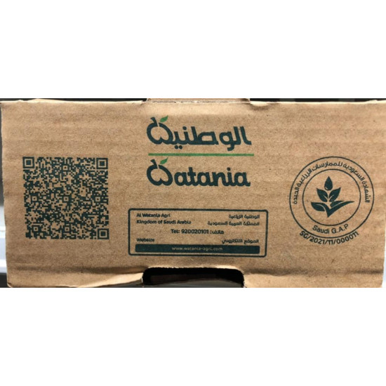 خيار 2.8 كجم الوطنية طبيعي خيار 2.8 كجم الوطنية طبيعي