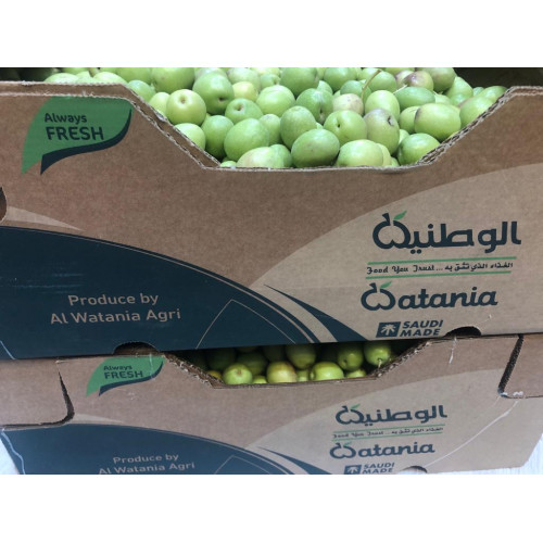 زيتون اخضر عضوي طازج 1 كجم  الوطنية  زيتون اخضر عضوي طازج 1 كجم  الوطنية