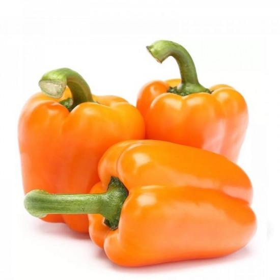 فلفل ملون برتقالي 1 كجم كرتون طبيعي الوطنية فلفل ملون برتقالي 1 كجم كرتون طبيعي الوطنية