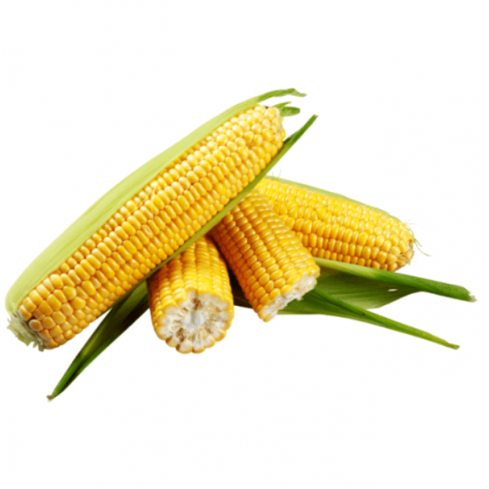 ذرة عضوي 3حبات مزرعة ال طالب