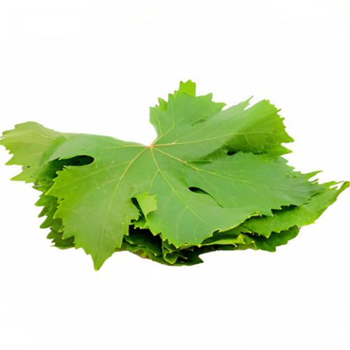 ورق عنب عضوي  كرتون 500جم الوطنية 