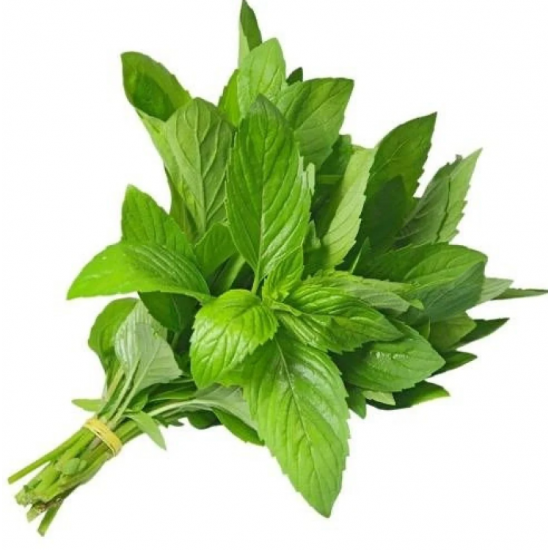 ملوخية عضوية ربطة مزرعة الشهوان ملوخية عضوية ربطة مزرعة الشهوان