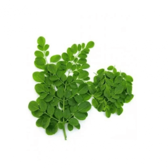 مورينجا طازجة عضوية - مزرعة الشهوان مورينجا طازجة عضوية - مزرعة الشهوان