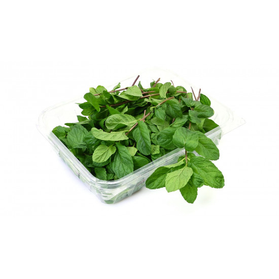 نعناع عضوي طازج ربطة مزرعة السلوى نعناع عضوي طازج ربطة مزرعة السلوى