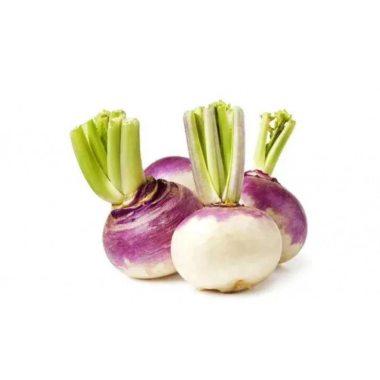 لفت عضوي 750جم  مزرعة الشهوان لفت عضوي 750جم  مزرعة الشهوان