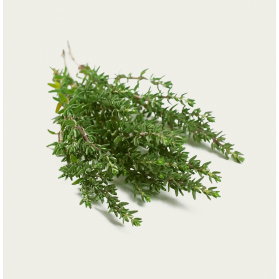 زعتر عضوي 100 جرام - مزارع السلوى العضوية زعتر عضوي 100 جرام - مزارع السلوى العضوية