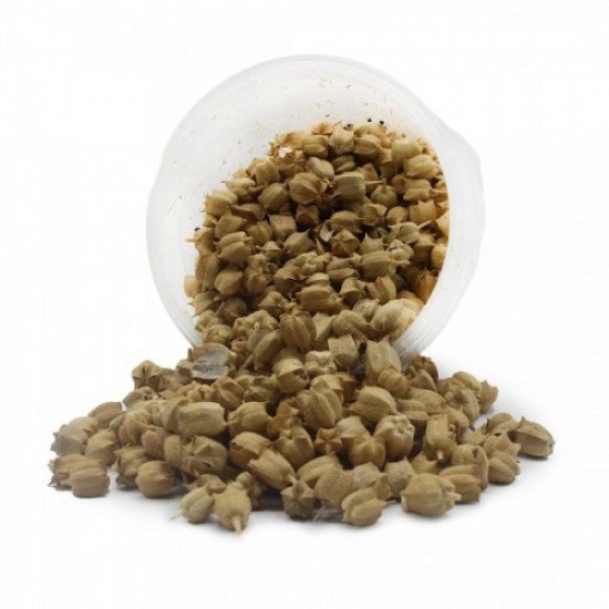 حبه البركة بالزهرة عضوية 50جم مزرعة الشهوان حبه البركة بالزهرة عضوية 50جم مزرعة الشهوان