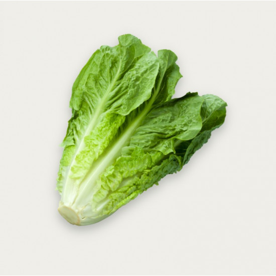 خس بلدي طبيعي طازج طبق خس بلدي طبيعي طازج طبق