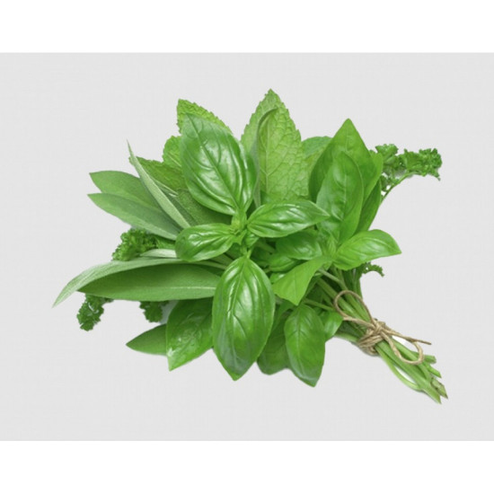 ريحان طازج عضوي طبق 100جم مزرعة بيت الاستنبات العضوية  ريحان طازج عضوي طبق 100جم مزرعة بيت الاستنبات العضوية