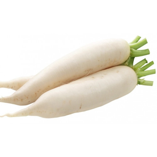 فجل ابيض عضوي مزرعة السلوى فجل ابيض عضوي مزرعة السلوى