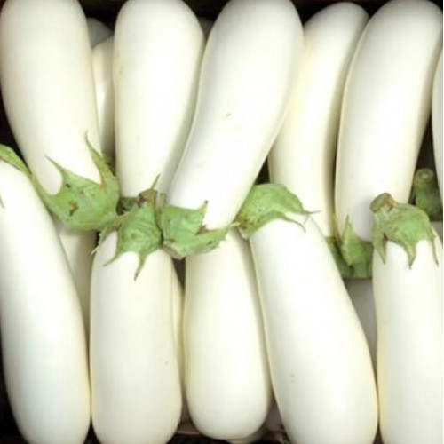 باذنجان ابيض طويل عضوي 1 كجم مزرعة السلوى العضوية