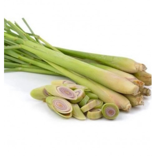 عشبة الليمون العضوية ربطة مزرعة بيت الاستنبات العضوية عشبة الليمون العضوية ربطة مزرعة بيت الاستنبات العضوية