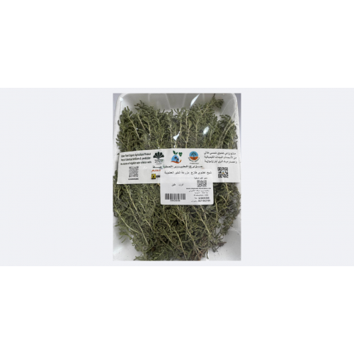 شيح طازج عضوي طبق مزرعه الخير