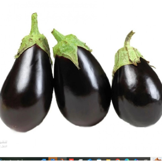 باذنجان عضوي 1 كجم مزرعة الغذاء الامن باذنجان عضوي 1 كجم مزرعة الغذاء الامن