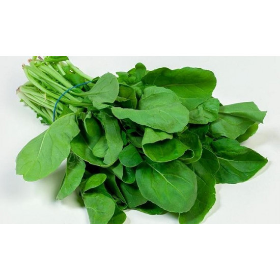 جرجير عضوي طبق مزرعة الغذاء الامن جرجير عضوي طبق مزرعة الغذاء الامن