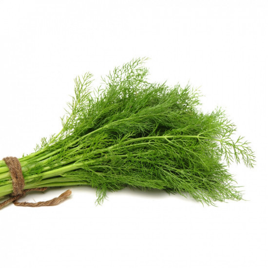 شبت عضوي طبق 200جم مزرعة الغذاء الامن شبت عضوي طبق 200جم مزرعة الغذاء الامن