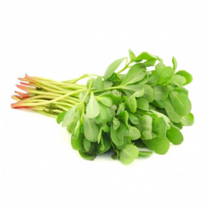 رجلة عضوية طبق 200جم مزرعة الغذاء الامن