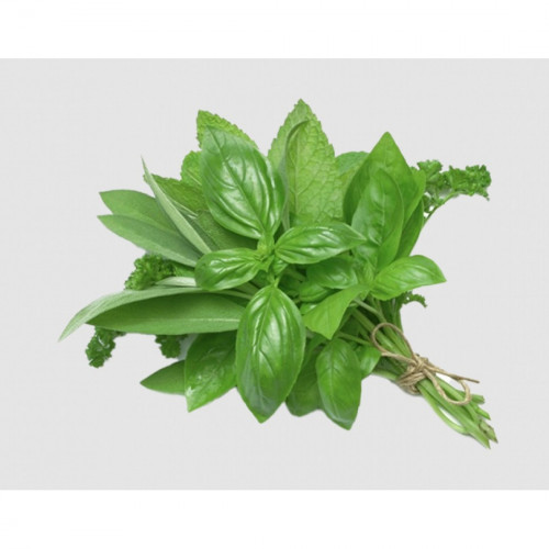 ريحان طازج عضوي طبق مزرعة طويق 