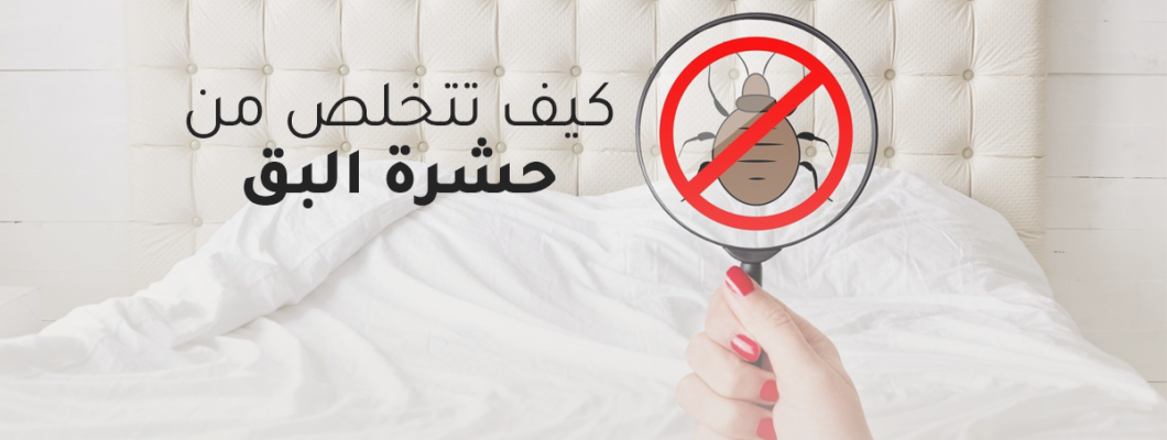 كيف تتخلص من حشرة البق وتحمي نفسك منها كيف تتخلص من حشرة البق وتحمي نفسك منها