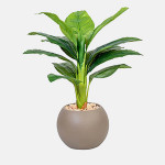 زهور ونباتات صناعية