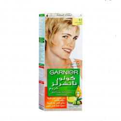 صبغة غارنية اشقر رمادي فاتح جدا9/1