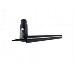 ايلاينر الانجليزي