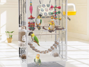 من تجاربي مع الاقفاص