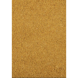 سيرلاك الببغاوات 