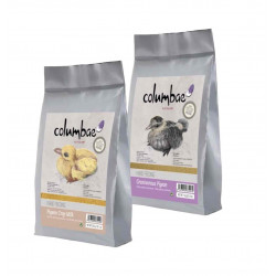 باكج سيرلاك الحمام المرحلتين 